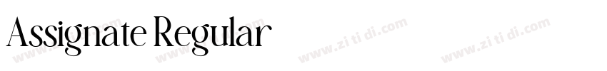 Assignate Regular字体转换